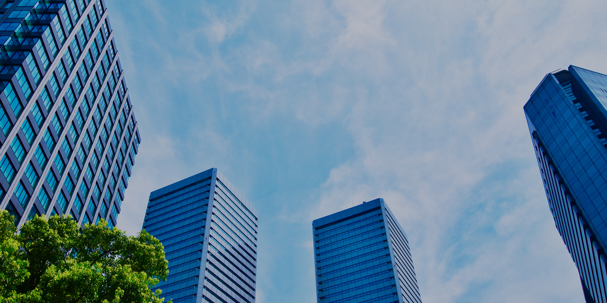 株式会社システムパイプライン